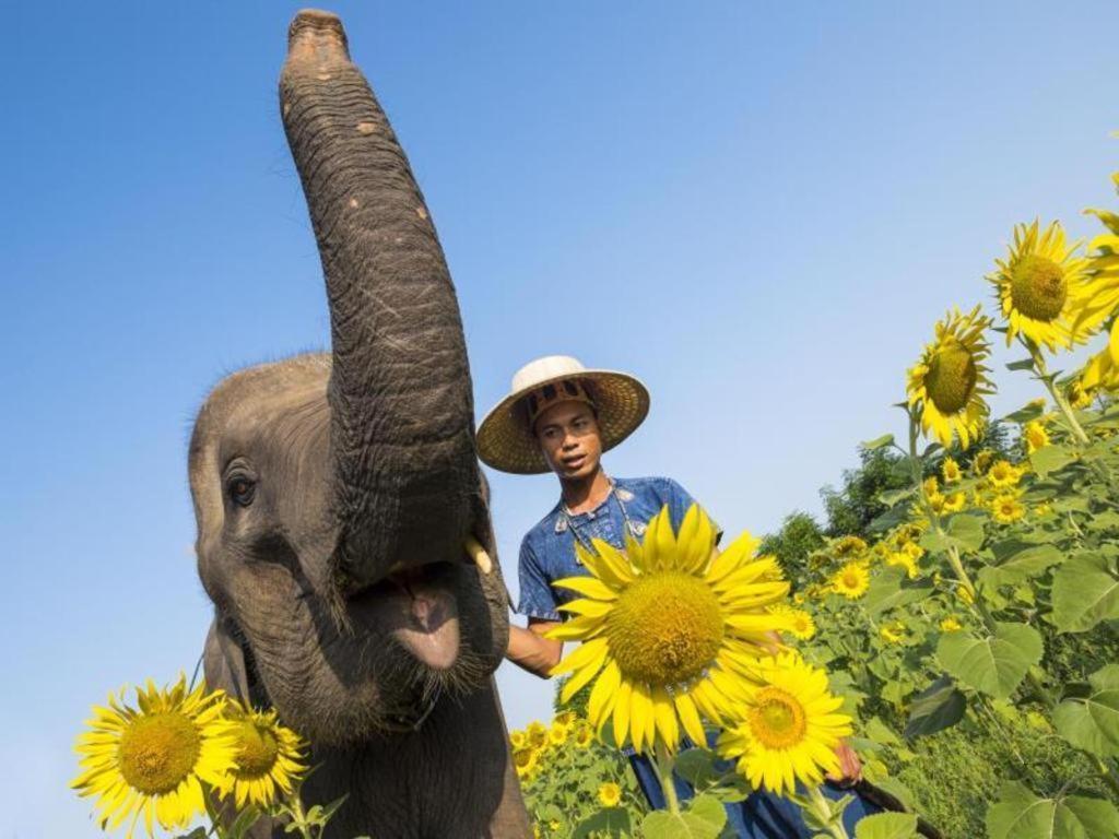 Baan Souchada Resort & Spa Sara Buri Екстериор снимка